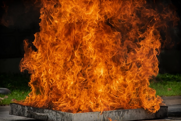 Acendendo a chama do fogo com óleo combustível