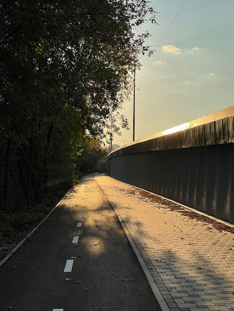 Acera y carril bici al atardecer en la ciudad.