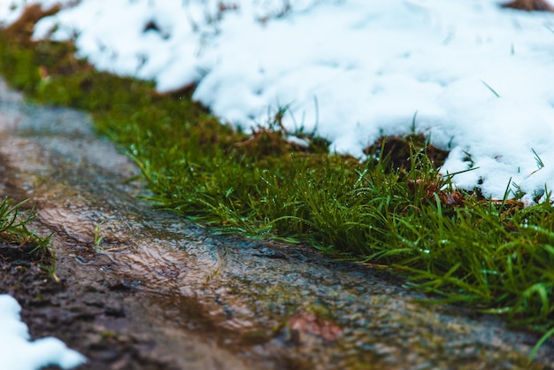 Se acerca la primavera, un pequeño arroyo con hierba verde pasa por la nieve blanca