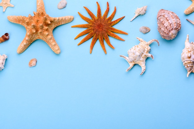 Acessórios de praia: óculos e chapéu com conchas e estrelas do mar sobre fundo colorido. Fundo de verão