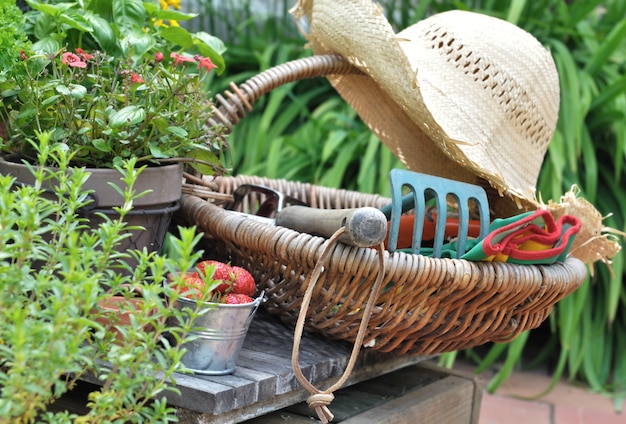 Acessórios para jardim