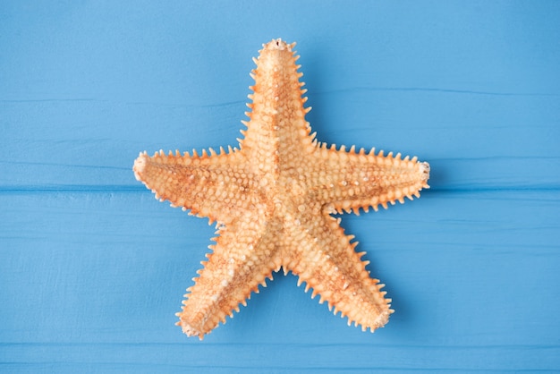 Acima, foto de close-up de uma única estrela do mar no centro, acima de cima, isolada em um fundo azul de madeira com copyspace