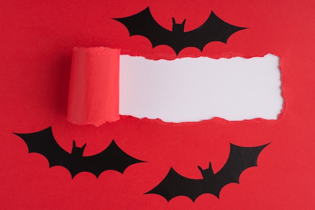 Acima, vista aérea, foto em close-up de papel vermelho rasgado e morcegos sobre fundo branco com copyspace