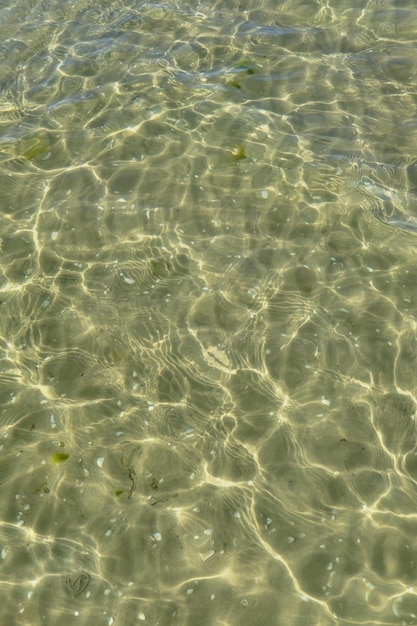 Acima vista da luz do sol refletindo na água na praia com espaço de cópia Ondas rasas e ondulações calmas no litoral em dia ensolarado fora Líquido claro refratando raios solares contra o fundo de verão