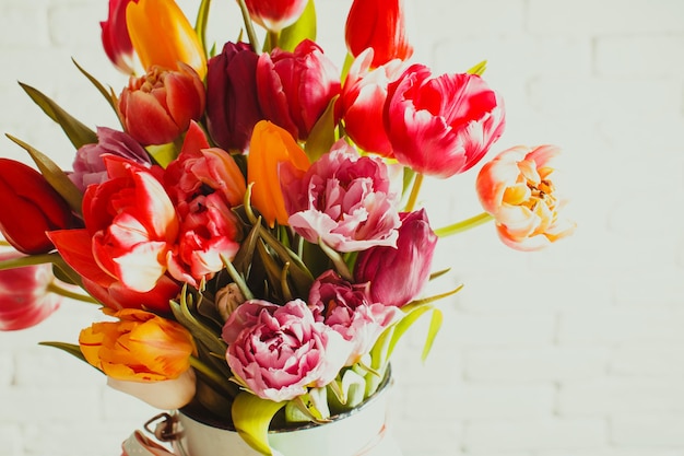 Acima vista de perto de um monte de flores frescas de tulipas roxas, rosa e amarelas isoladas em fundo branco