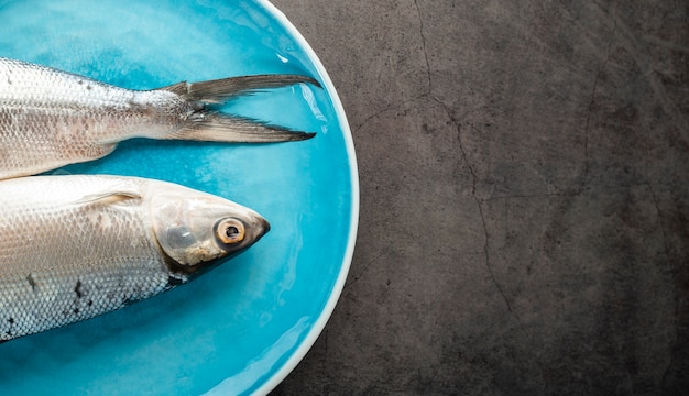 Acima vista decoração com peixes no prato azul