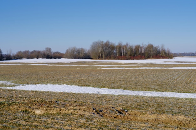 Ackerfeld mit Schneeresten nach dem Winter