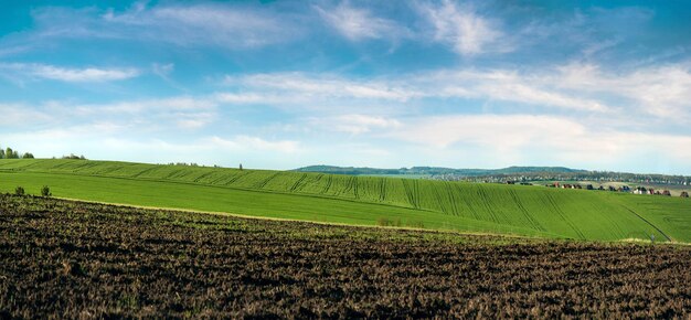 Foto ackerland und feld mit grünem weizen blauer himmel grünes feld braun ackerland natürlichen hintergrund