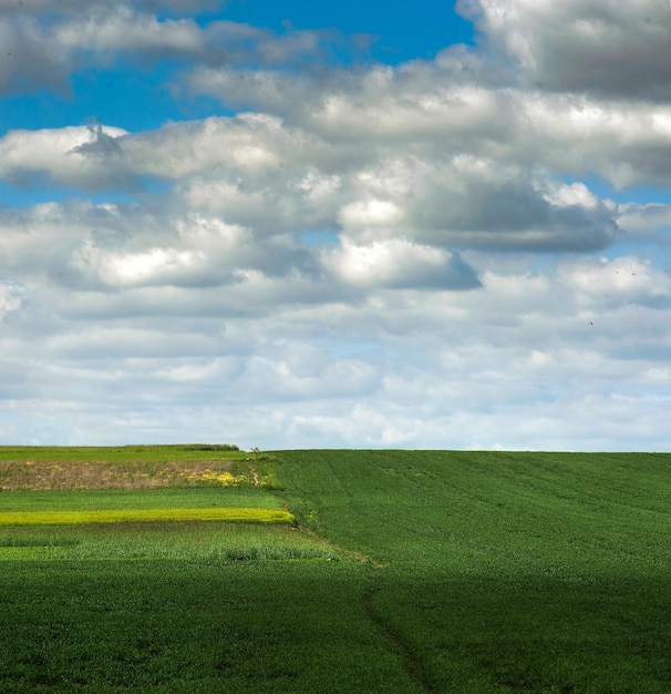 Ackerland und Feldmuster in verschiedenen Farben und schöner bewölkter Himmel