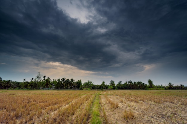 Ackerlandwirtschaft und Regenwolken mit Sonnenstrahlen