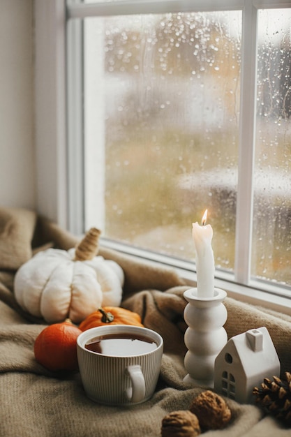 Acogedor día lluvioso de otoño Taza caliente de velas de té calabazas en una manta contra la ventana con gotas de lluvia