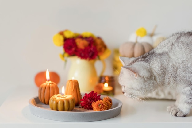 Acogedor estado de ánimo otoñal Flores y velas.