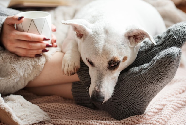 Acogedora casa mujer cubierta con una manta caliente bebe café durmiendo perro junto a la mujer