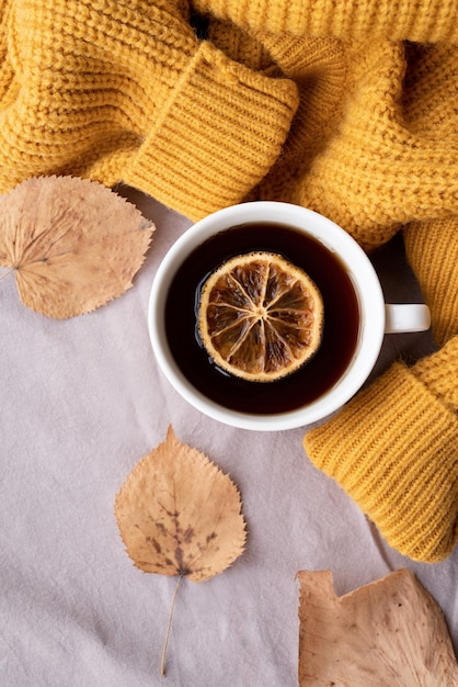 Acogedora composición de otoño clima suéter calabazas té caliente y suéteres en la ventana