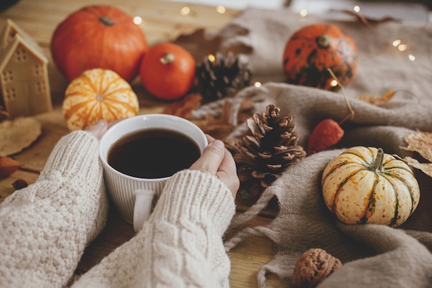 Acogedoras manos de otoño sosteniendo una taza caliente de té y calabazas hojas de otoño acogedoras luces de bufanda en una mesa de madera rústica Hygge otoño hogar Feliz Día de Acción de Gracias Otoño rural