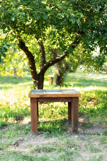 Acolhedor pátio interior com mesa debaixo da árvore em dia ensolarado de verão.