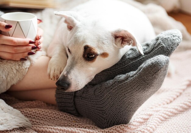 Aconchegante mulher em casa coberta com cobertor quente bebe café cachorro dormindo ao lado da mulher