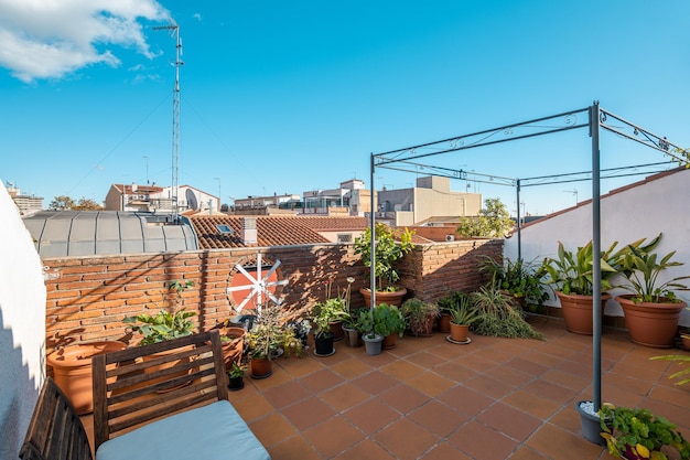 Aconchegante terraço ao ar livre com sofá pequeno e muitos vasos de flores com o conceito de jardim doméstico de plantas