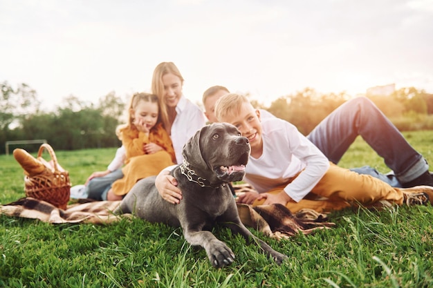 Acostado en el suelo con el perro La familia pasa el fin de semana al aire libre en verano juntos