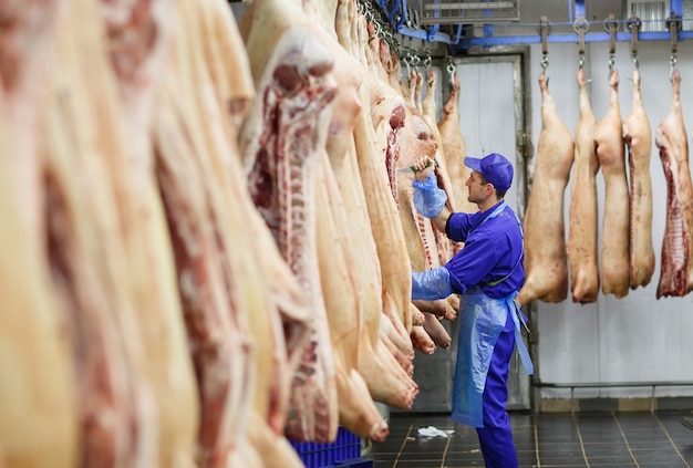 Açougueiro cortar carne de porco na fabricação de carne.