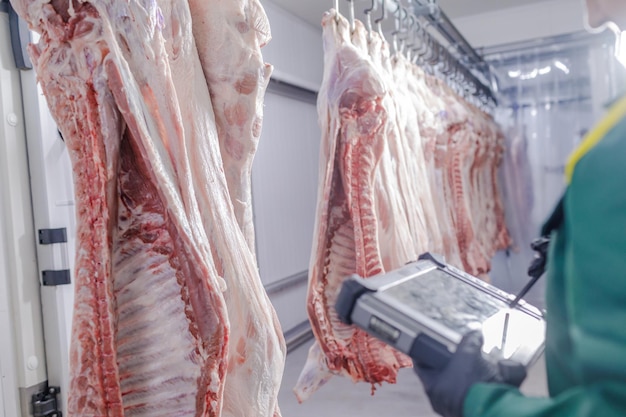 Açougueiro fazendo relatório de qualidade no conceito de produtos de carne de matadouro