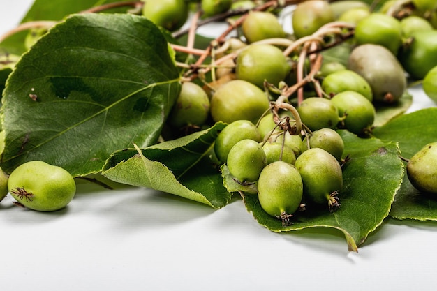 Actinidia arguta madura o kiwi aislado sobre fondo blanco. Ramas de frutas frescas con hojas verdes, maqueta, plantilla