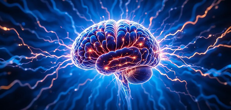 Actividad del cerebro humano