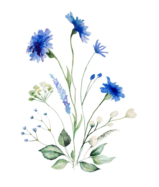 Acuarela azul acianos y flores silvestres ramo verano boda aislado ilustración