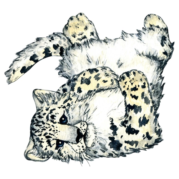 Acuarela bosque salvaje animales nieve leopardo gatito aislado Woodland ilustración para diseño de niños