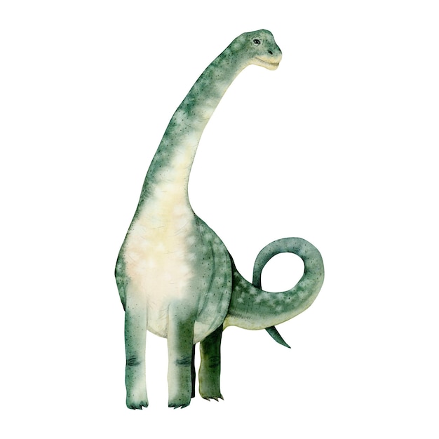 Acuarela brachiosaurus dinosaurio verde Ilustración dibujada a mano de animal antiguo jurásico