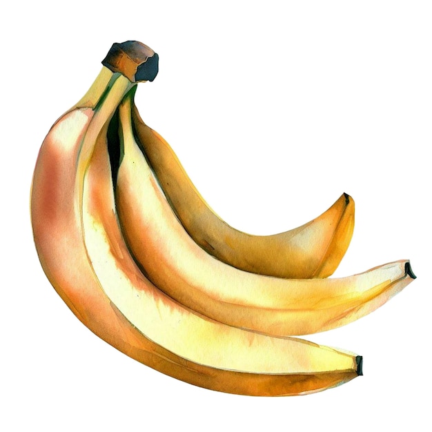 Acuarela con un clip de plátano