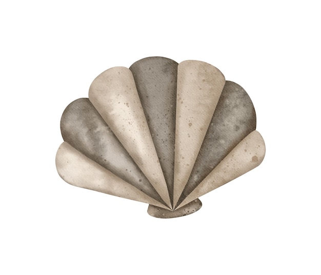 Acuarela concha perla ostra elementos submarinos marinos diseño dibujo de concha y berberecho