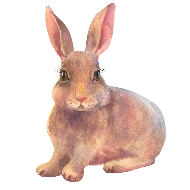 Acuarela de conejo de Pascua lindo conejo vintage aislado en fondo blanco ilustración pintada a mano