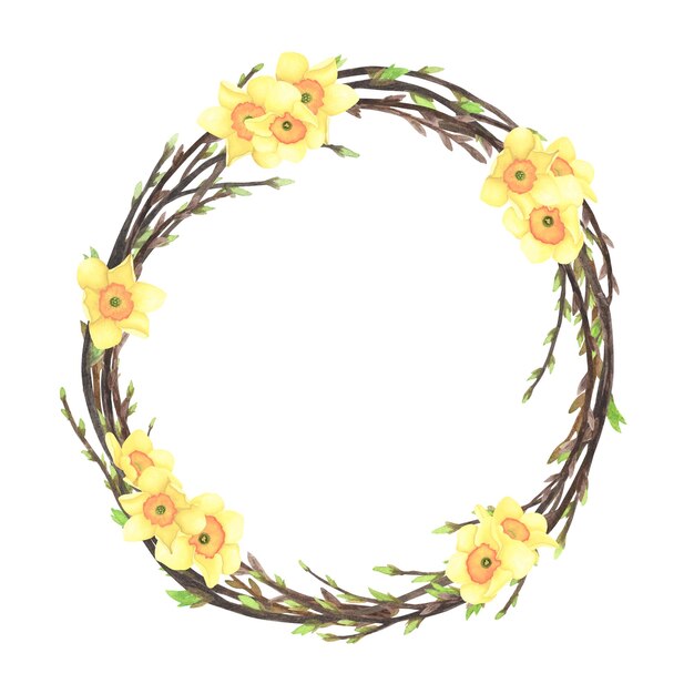 Acuarela de corona de ramitas de sauce de primavera con narciso de flores aislado en blanco Dibujo a mano ilustración de Pascua para el diseño