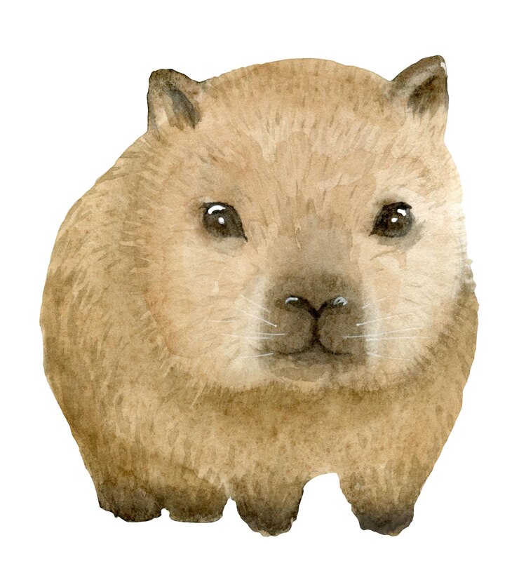 Foto acuarela dibujada a mano animales lindos bebés de capibara