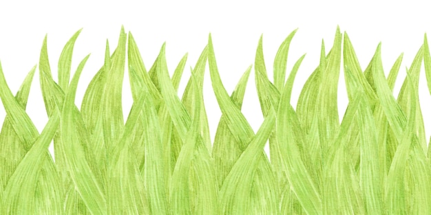 Acuarela dibujada a mano, hierba verde, borde sin costuras, ilustración aislada sobre fondo blanco, se puede utilizar para postales, libros de recortes textiles y otros productos impresos.