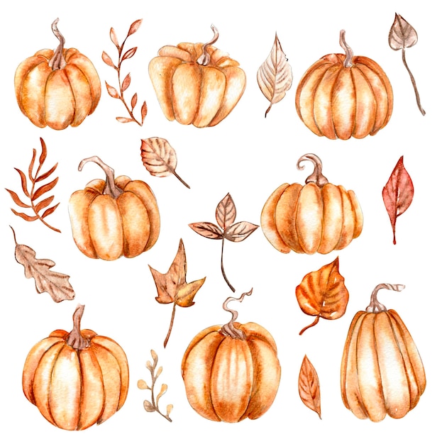 Acuarela dibujada a mano hojas de otoño y calabazas