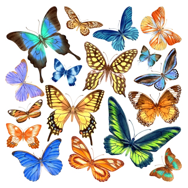 Acuarela dibujada a mano de mariposas realistas de colores brillantes
