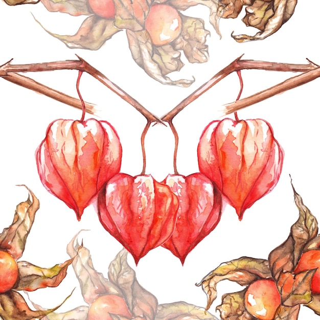 Acuarela dibujada a mano physalis invierno cereza grosella espinosa fruta baya de patrones sin fisuras