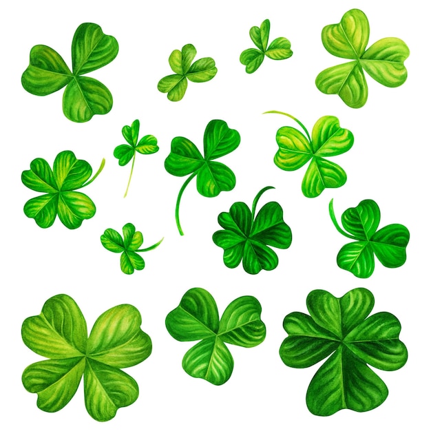 Acuarela dibujada a mano trébol de cuatro hojas para el día de San Patricio para la buena suerte.
