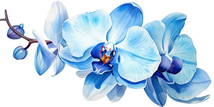Acuarela Estampados Florales Arte Floral De La Acuarela Pinturas De Ramo De Flores Flor De Acuarela