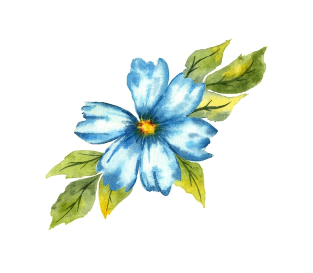 Acuarela Flor Azul