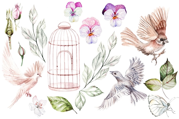 Acuarela con flores rosas de anémona, hojas, pájaros y mariposas. Ilustración