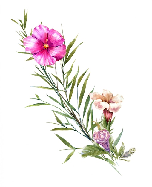 Acuarela de hojas y flores, en blanco