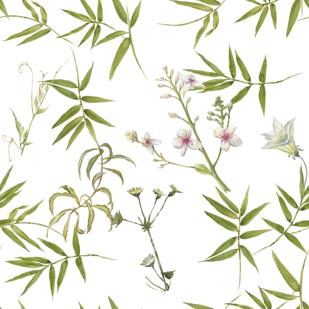 Acuarela de hojas y flores, patrón transparente sobre fondo blanco.
