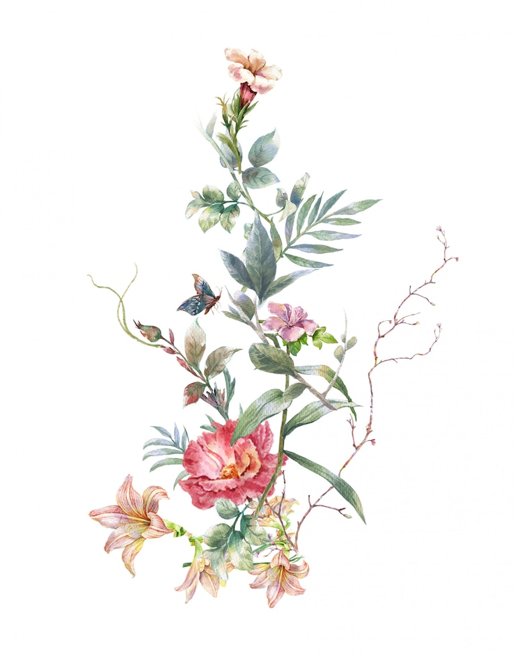 Foto acuarela de hojas y flores, sobre fondo blanco.