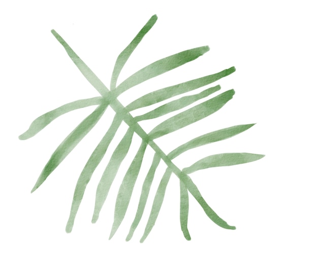 Acuarela de hojas tropicales. Hojas de acuarela de la selva. Ilustración pintada a mano aislada en blanco ba