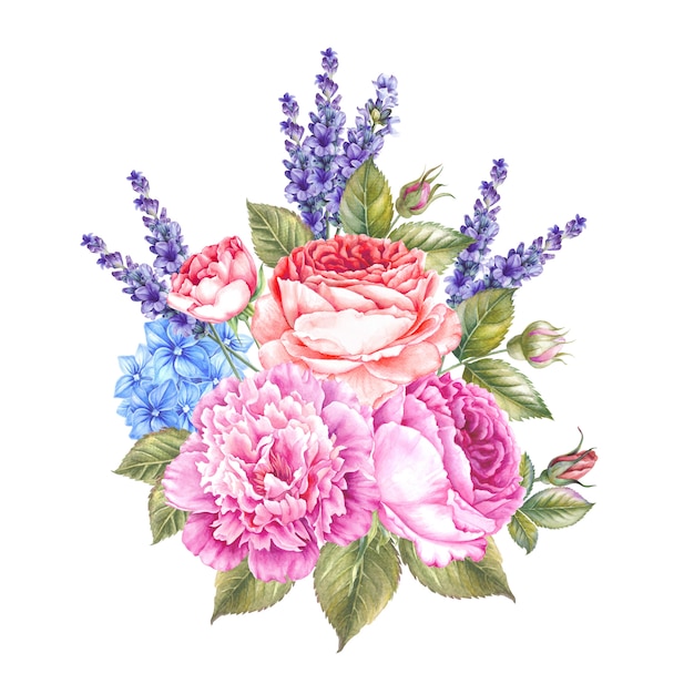 Acuarela ilustración botánica de rosas y lavanda.