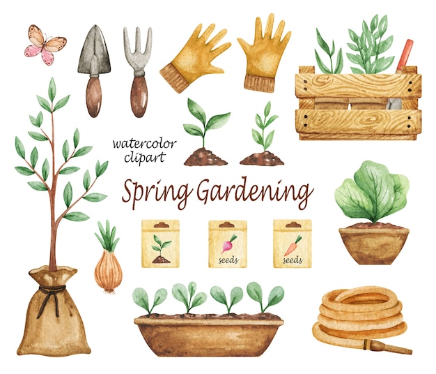 Acuarela de imágenes prediseñadas de herramientas de jardín, conjunto de tiempo de jardinería de primavera, plantas en macetas, ilustración dibujada a mano