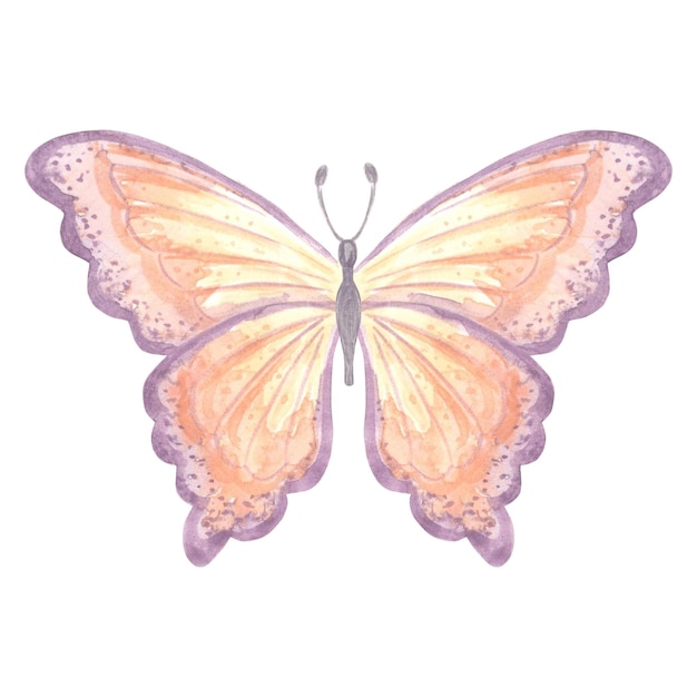 Acuarela mariposa voladora delicada color pelusa de melocotón aislado ilustración dibujada a mano primavera exótica